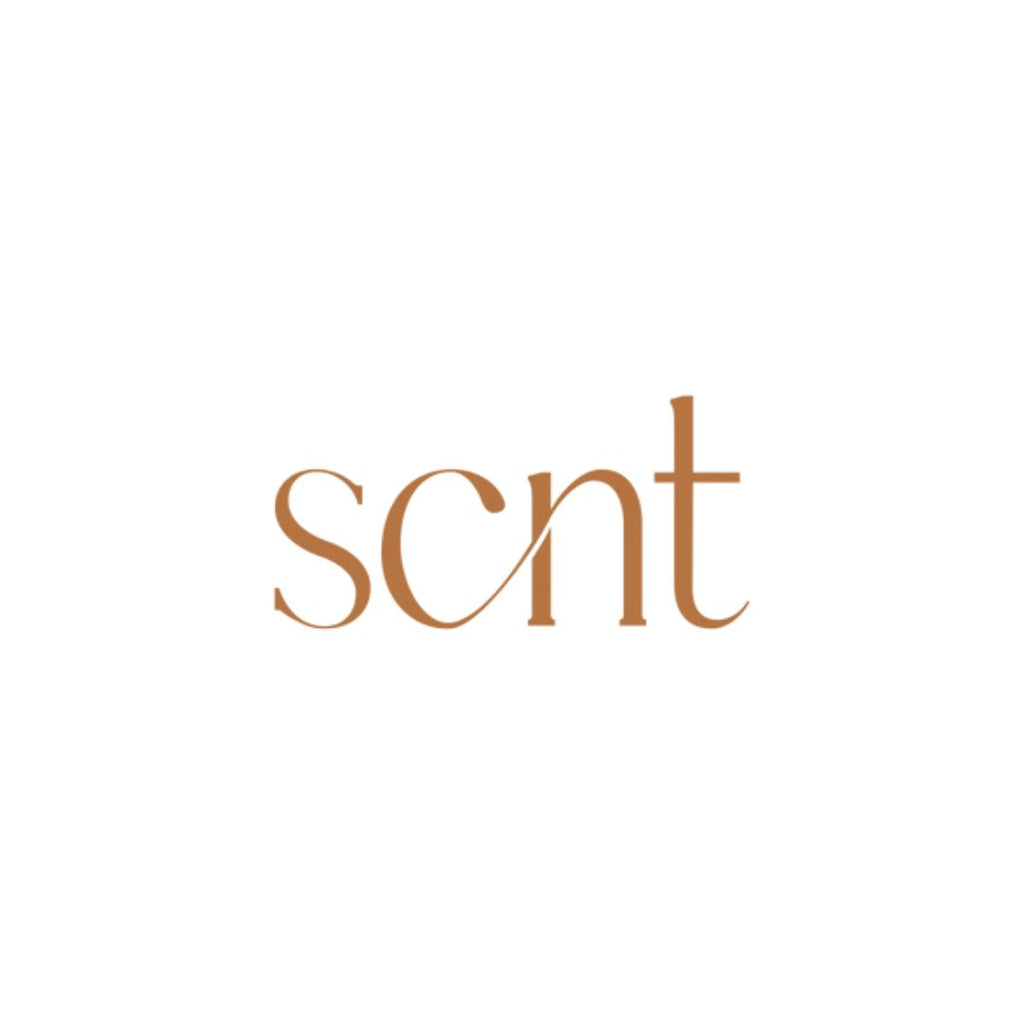 SCNT logo